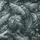 BRUNSCHWIG & FILS - FEUILLES DE BANANIER- GRIS - Wallcovering by the Yard