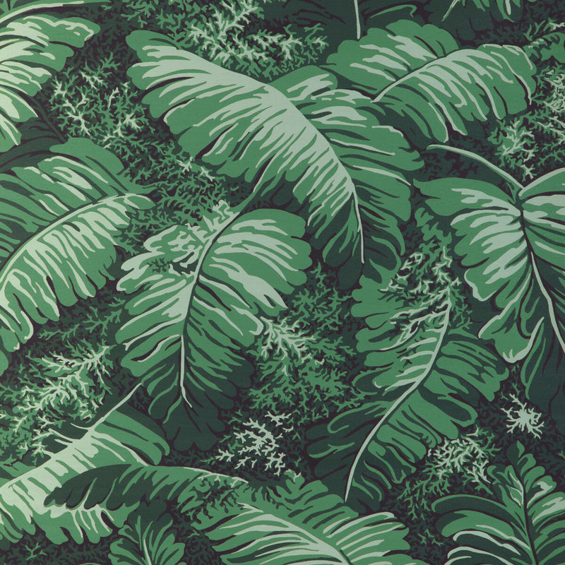 BRUNSCHWIG & FILS - FEUILLES DE BANANIER- IVY - Wallcovering by the Yard IVY