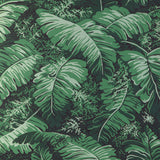 BRUNSCHWIG & FILS - FEUILLES DE BANANIER- IVY - Wallcovering by the Yard