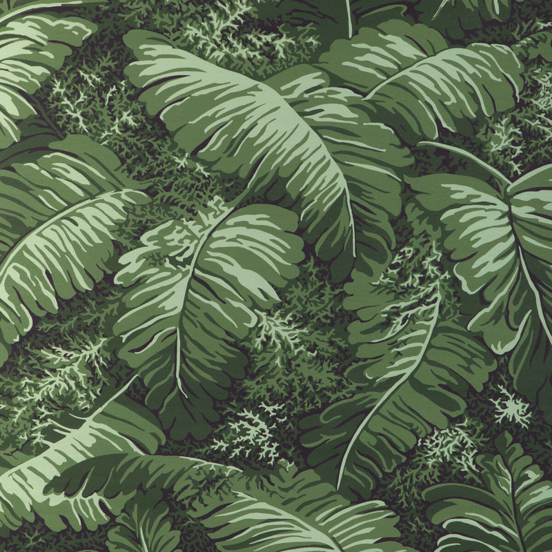 BRUNSCHWIG & FILS - FEUILLES DE BANANIER- LEAF - Wallcovering by the Yard LEAF