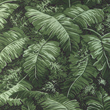 BRUNSCHWIG & FILS - FEUILLES DE BANANIER- LEAF - Wallcovering by the Yard