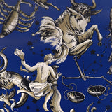BRUNSCHWIG & FILS - COSMIQUE- SAPPHIRE - Wallcovering by the Roll