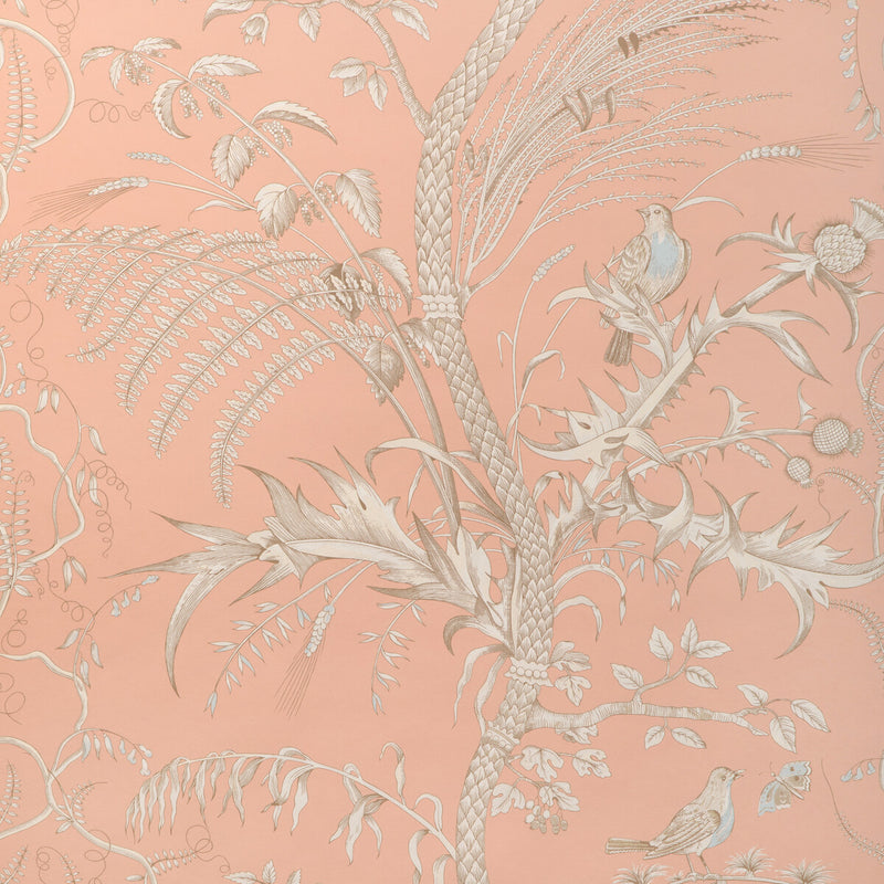 BRUNSCHWIG & FILS - BIRD AND THISTLE II- PEACH - Wallcovering by the Roll PEACH