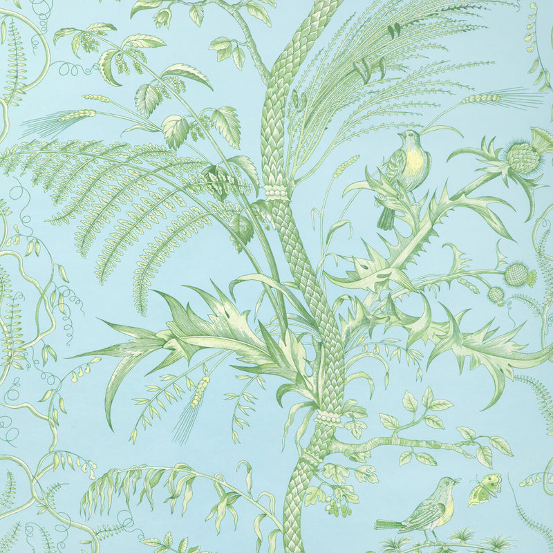 BRUNSCHWIG & FILS - BIRD AND THISTLE II- SKY - Wallcovering by the Roll SKY
