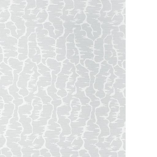 BRUNSCHWIG & FILS - LEVES WC- GREY - Wallcovering by the Yard GREY