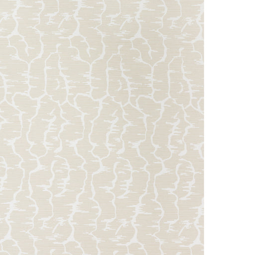 BRUNSCHWIG & FILS - LEVES WC- BEIGE - Wallcovering by the Yard BEIGE