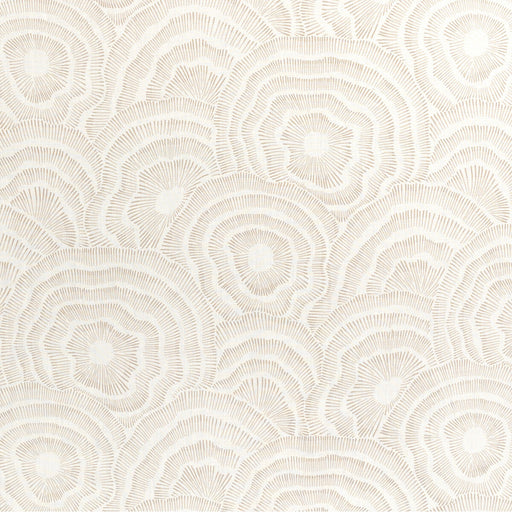KRAVET COUTURE - PANACHE- NATURAL - Fabric by the Yard NATURAL
