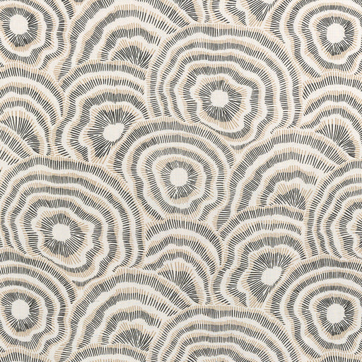 KRAVET COUTURE - PANACHE- ONYX - Fabric by the Yard ONYX