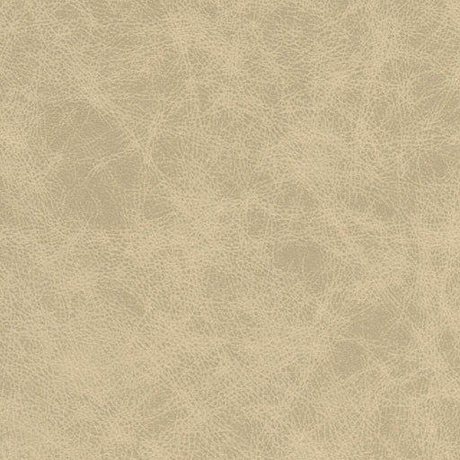 KRAVET DESIGN - KRAVET DESIGN- PATCH-11 - Fabric by the Yard PATCH-11