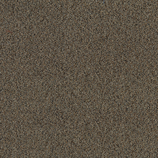 PERRY STONE