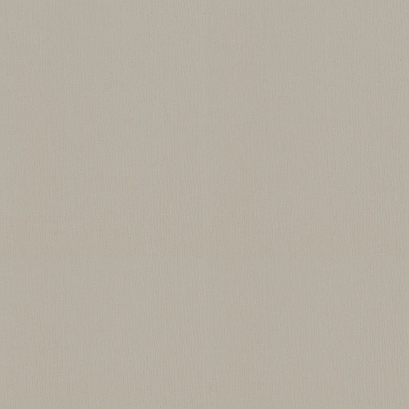 PETCHA DOVE