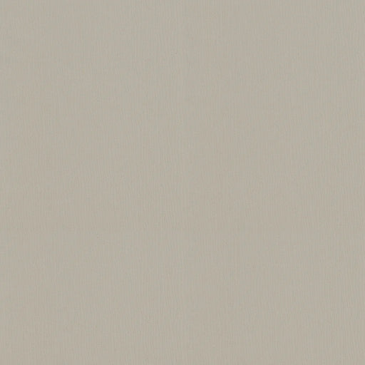PETCHA DOVE