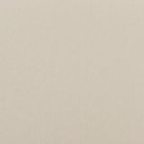 BAKER LIFESTYLE - CARNIVAL PLAIN- PARCHMENT - Fabric by the Yard