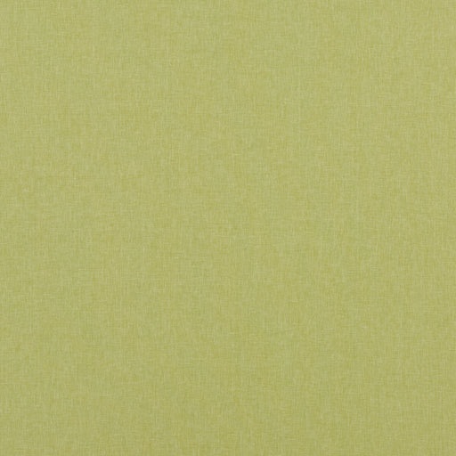 BAKER LIFESTYLE - CARNIVAL PLAIN- LIME - Fabric by the Yard LIME