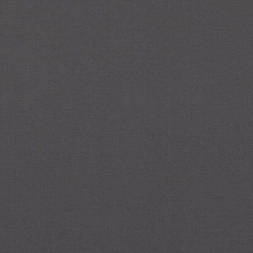 BAKER LIFESTYLE - PAVILION- GRAPHITE - Fabric by the Yard GRAPHITE