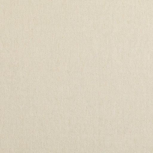 BAKER LIFESTYLE - GARDEN PATH- PARCHMENT - Fabric by the Yard PARCHMENT