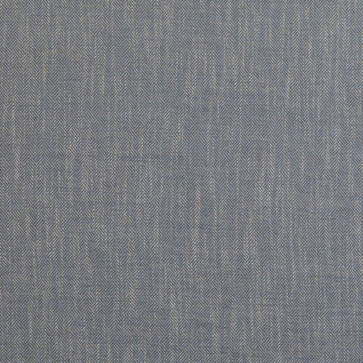 BAKER LIFESTYLE - GARDEN PATH- INDIGO - Fabric by the Yard INDIGO