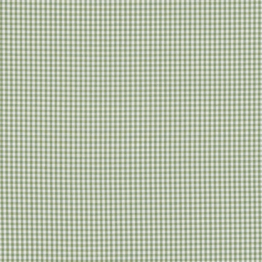 BAKER LIFESTYLE - SHERBORNE GINGHAM- GREEN - Fabric by the Yard GREEN