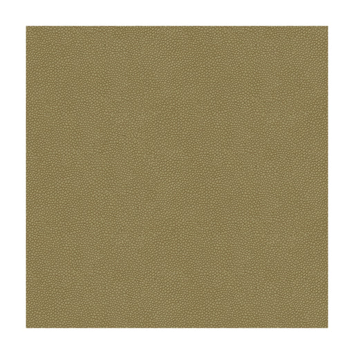 KRAVET DESIGN - PIETRA - Fabric By the Yard