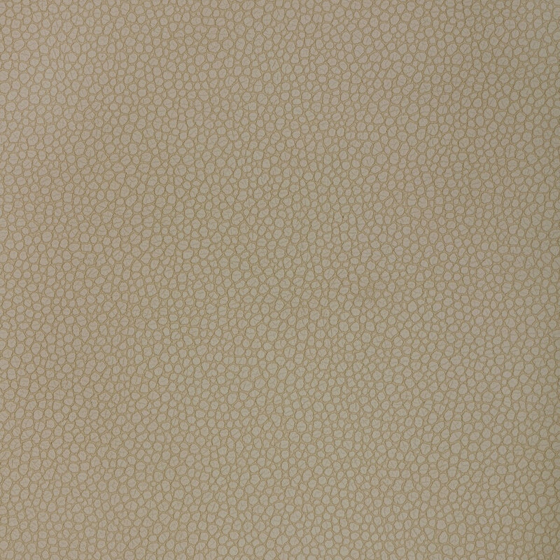 KRAVET DESIGN - KRAVET DESIGN - PIETRA-121 - Fabric By The YARD