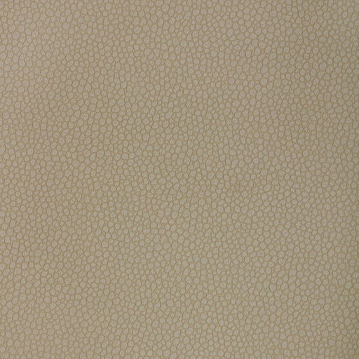 KRAVET DESIGN - KRAVET DESIGN - PIETRA-121 - Fabric By The YARD