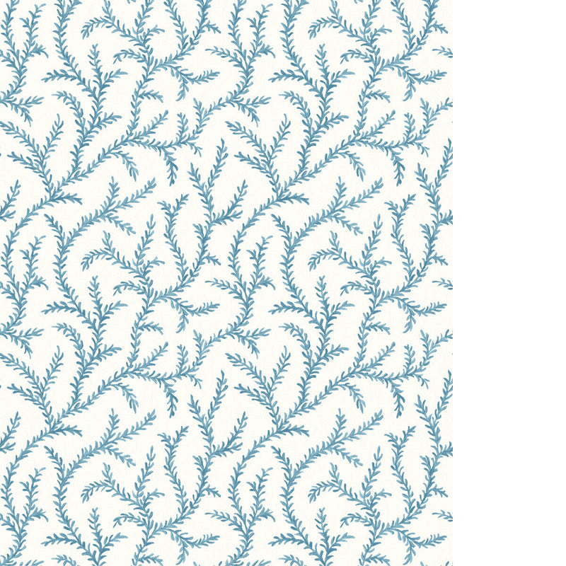 PURE EDIT - INAYA WP - CHAMBRAY - Wallpaper By The ROLL