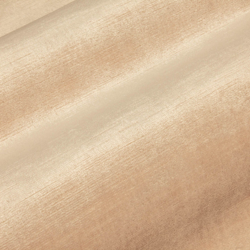 RM Coco - Pied a Terre Rayon Velvet - Fabric by the Yard - Samples Available Upon Request