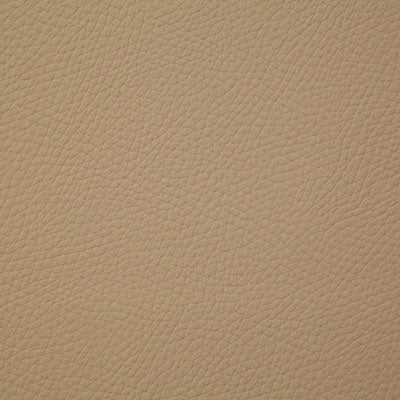 Pindler BANDERO - Fabric By The Yard - Samples Available by Request - V22-00171