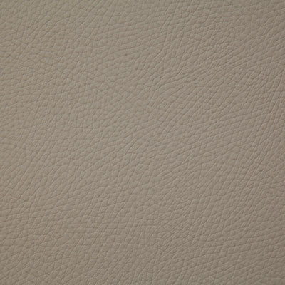 Pindler BANDERO - Fabric By The Yard - Samples Available by Request - V22-00171