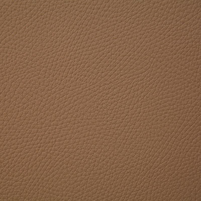 Pindler BANDERO - Fabric By The Yard - Samples Available by Request - V22-00171