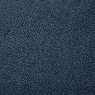 Pindler BANDERO - Fabric By The Yard - Samples Available by Request - V22-00171