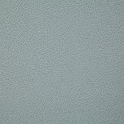 Pindler BANDERO - Fabric By The Yard - Samples Available by Request - V22-00171