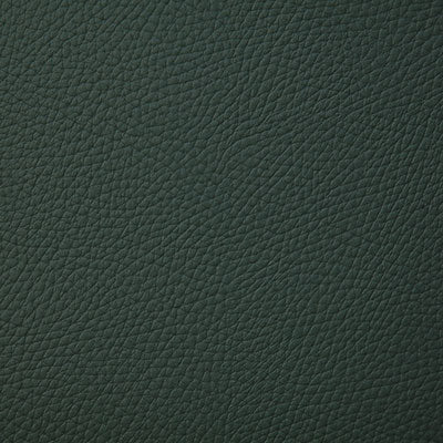 Pindler BANDERO - Fabric By The Yard - Samples Available by Request - V22-00171