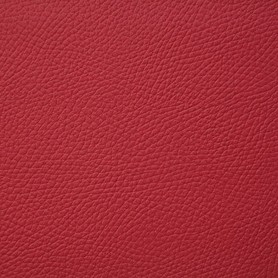 Pindler BANDERO - Fabric By The Yard - Samples Available by Request - V22-00171