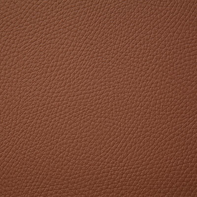 Pindler BANDERO - Fabric By The Yard - Samples Available by Request - V22-00171