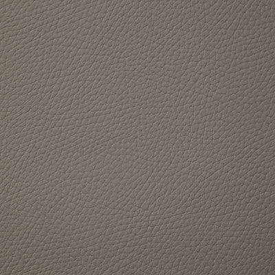 Pindler BANDERO - Fabric By The Yard - Samples Available by Request - V22-00171