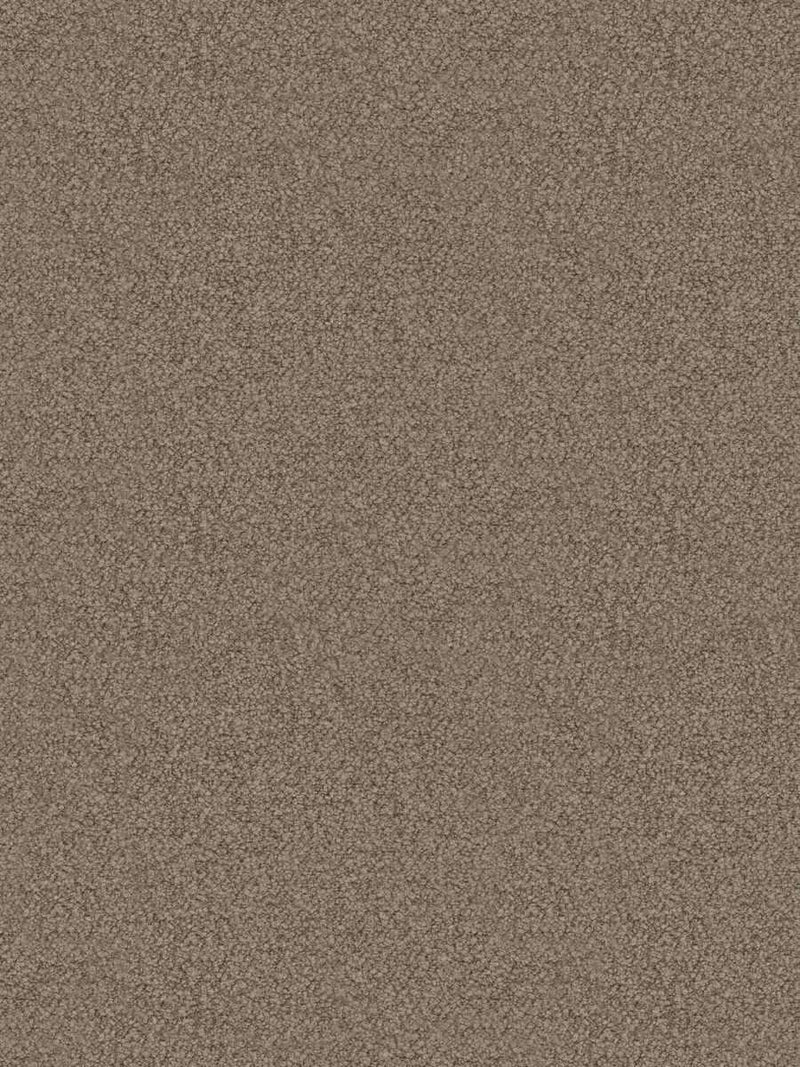 FTS-01561 - Fabric By The Yard - Samples Available by Request - Fabrics and Drapes