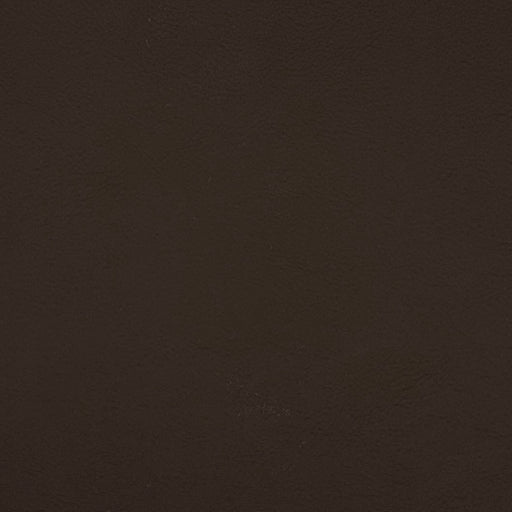 QUEST CHOCOLATE