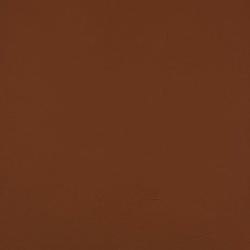 QUEST CINNAMON