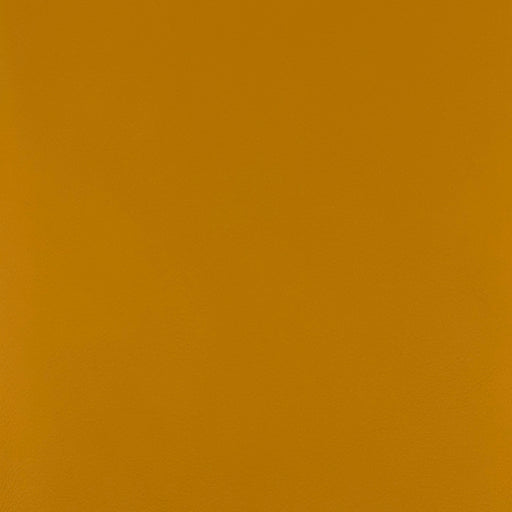 QUEST HONEY