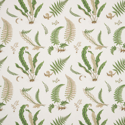 G P & J BAKER - FERNS LINEN- STONE/GREEN - Fabric by the Yard STONE/GREEN