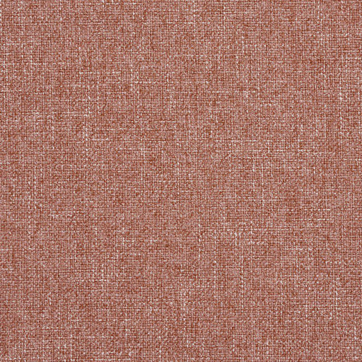 Charlotte - R133 - Spice - Fabric by the Yard Spice