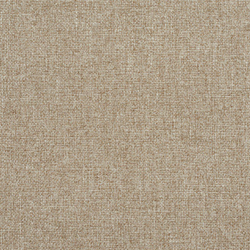 Charlotte - R134 - Dove - Fabric by the Yard Dove