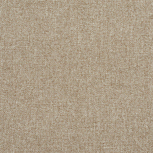 Charlotte - R134 - Dove - Fabric by the Yard Dove