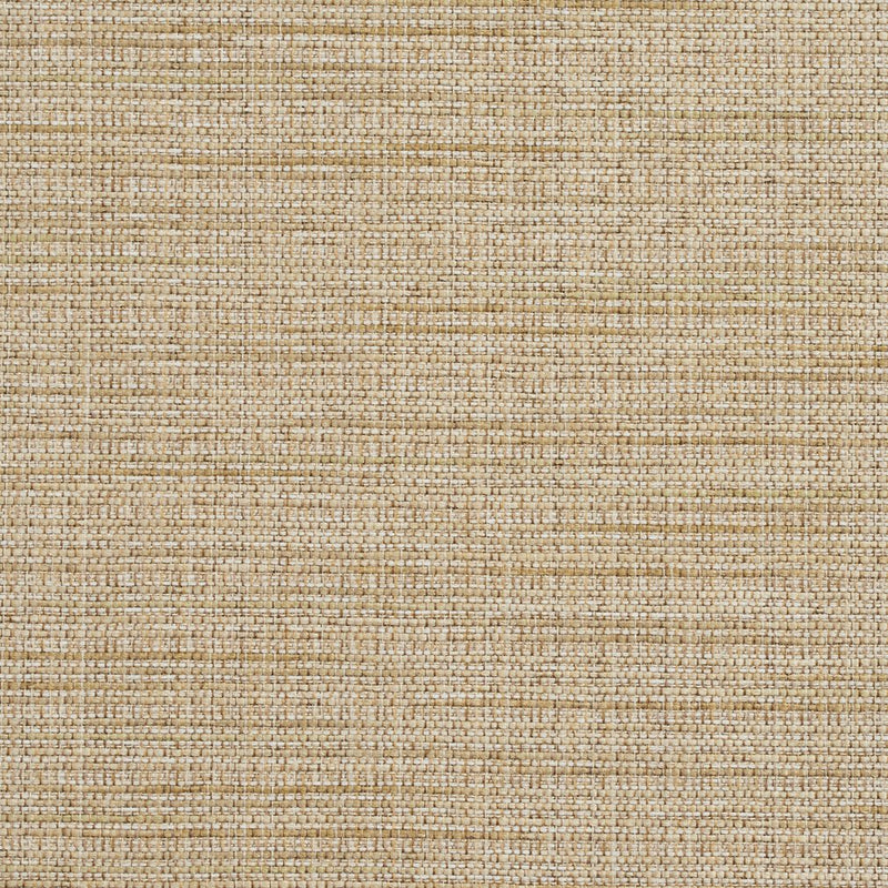Charlotte - R154 - Sesame - Fabric by the Yard Sesame