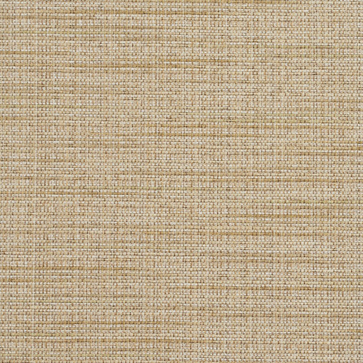 Charlotte - R154 - Sesame - Fabric by the Yard Sesame