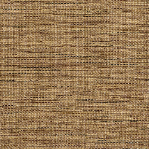 Charlotte - R155 - Harvest - Fabric by the Yard Harvest