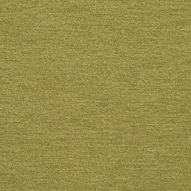 Charlotte - R171 - Spring - Fabric by the Yard Spring