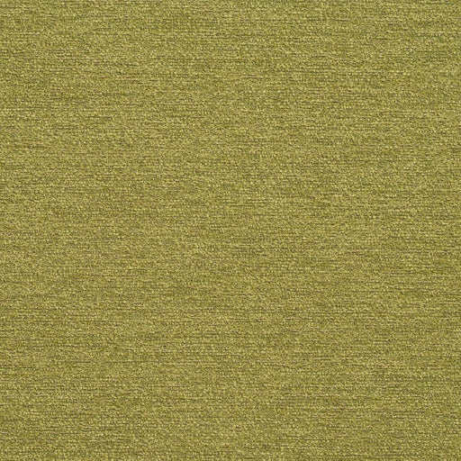 Charlotte - R171 - Spring - Fabric by the Yard Spring