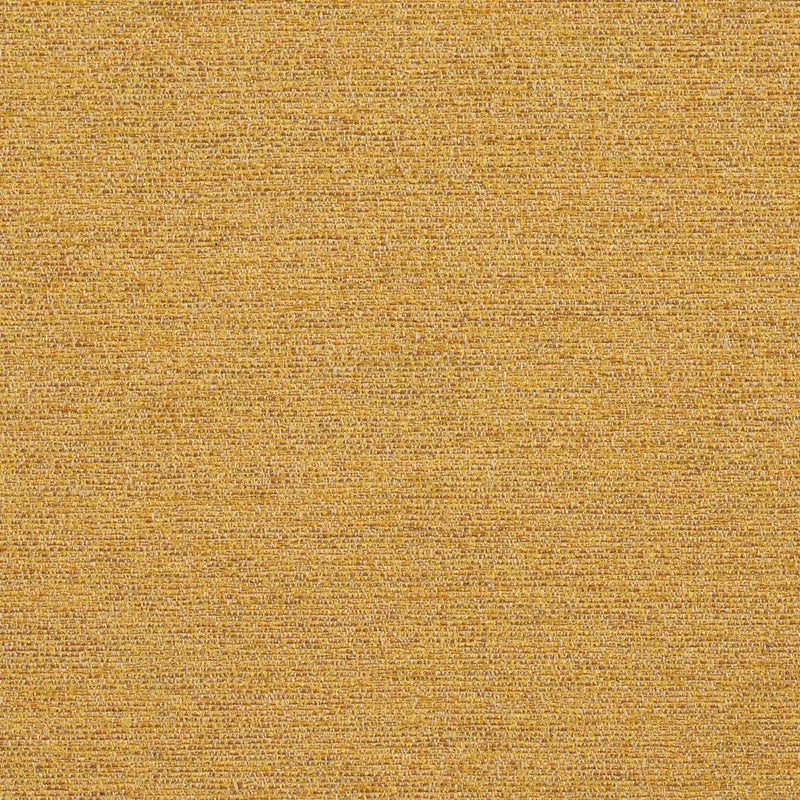 Charlotte - R172 - Saffron - Fabric by the Yard Saffron